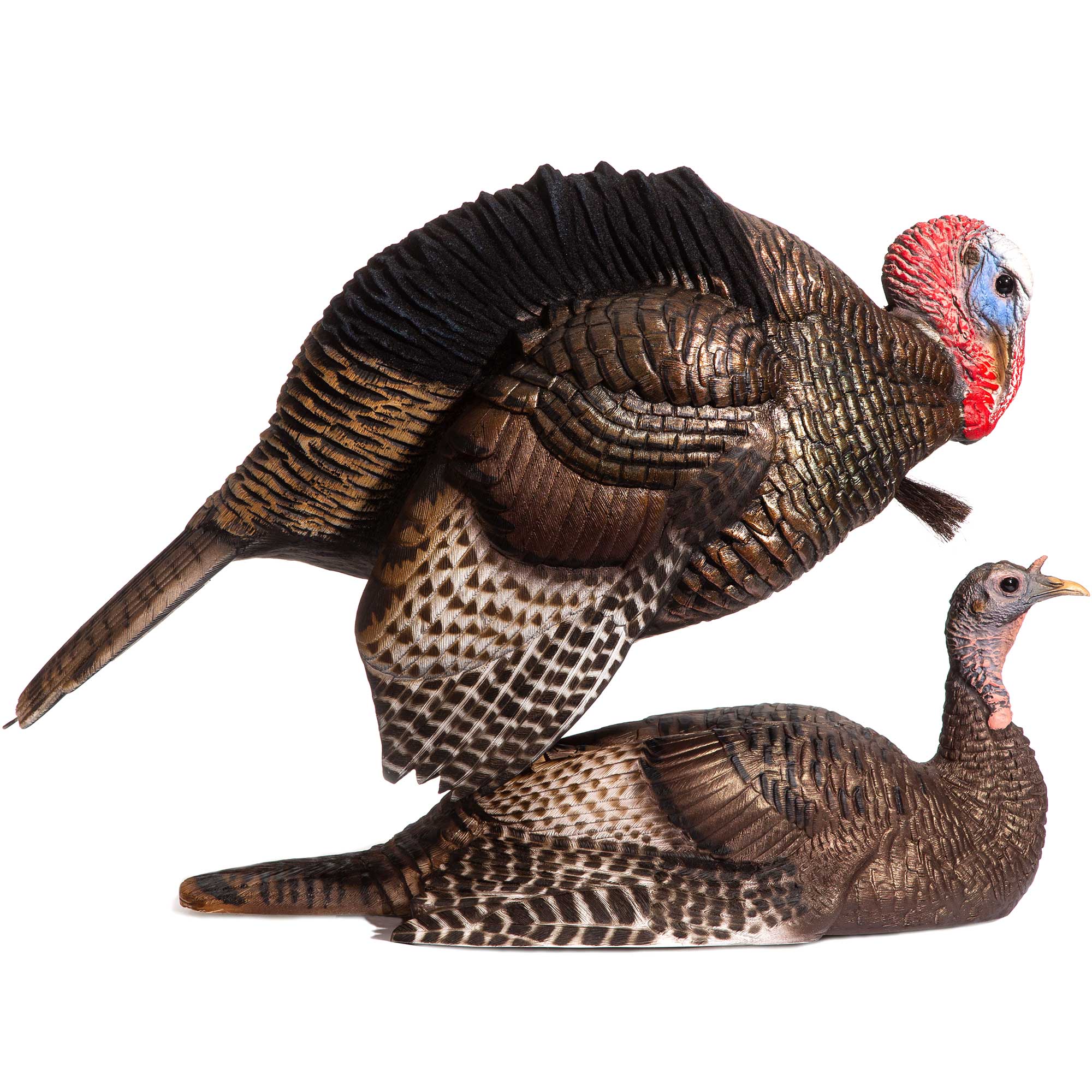 Which Direction To Face Turkey Decoys at Francis Walker blog