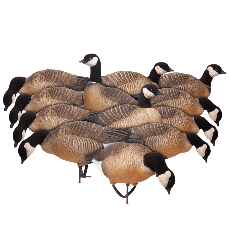 Goose Decoys – Dave Smith Decoys