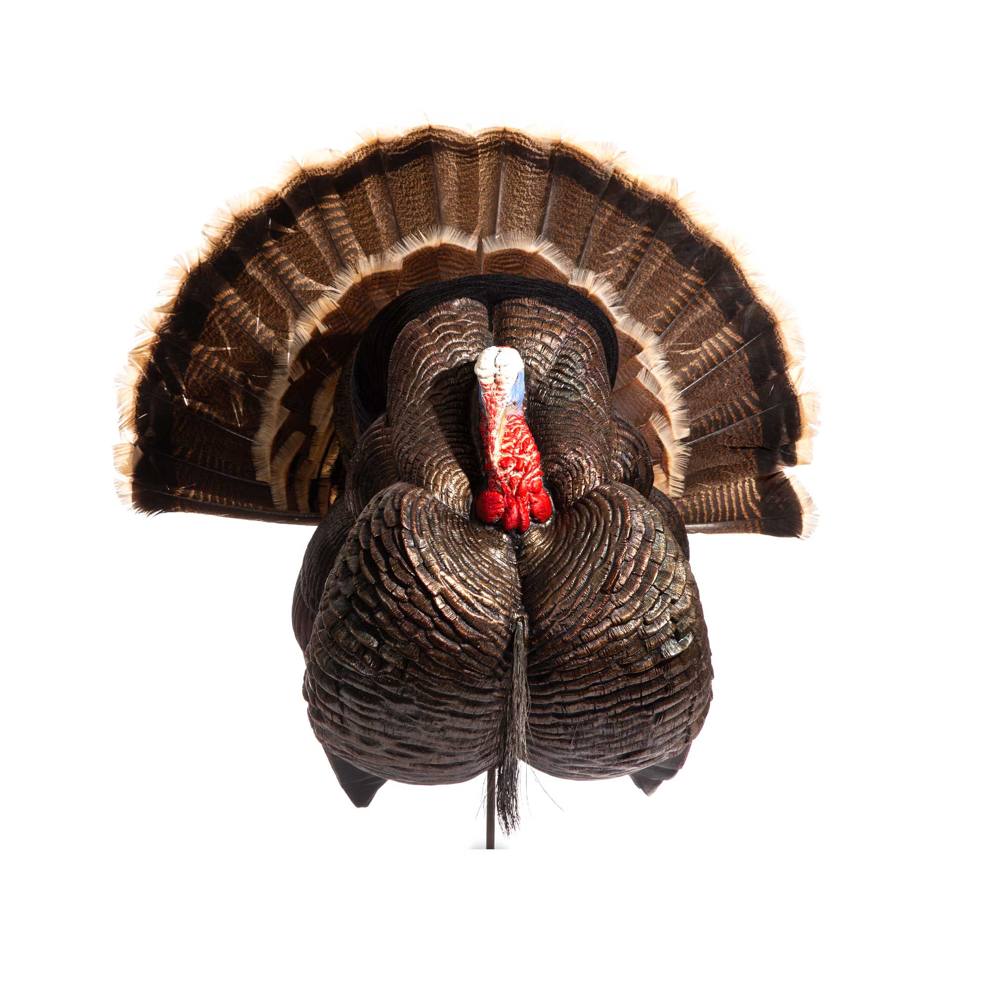 https://www.davesmithdecoys.com/wp-content/uploads/2021/03/dsd-website-360-turkey-strutter-3.jpg