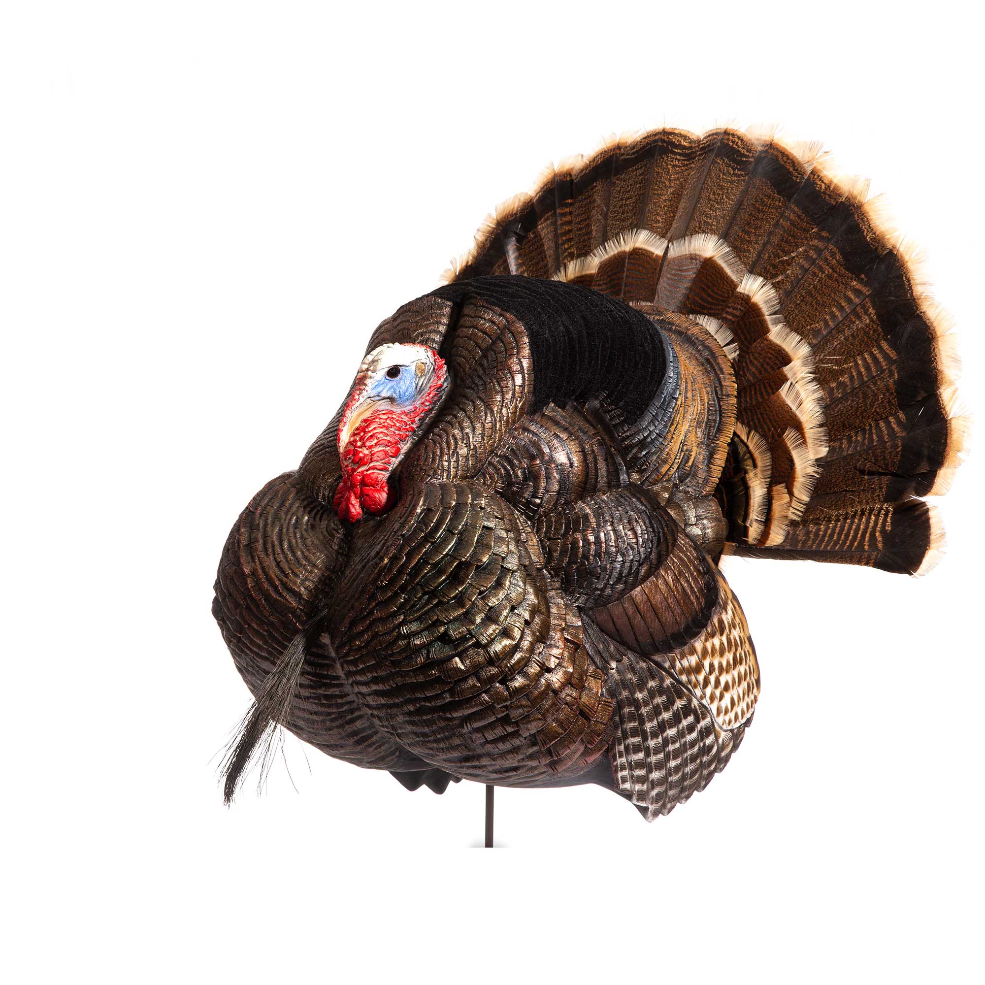 https://www.davesmithdecoys.com/wp-content/uploads/2021/03/dsd-website-360-turkey-strutter-4.jpg