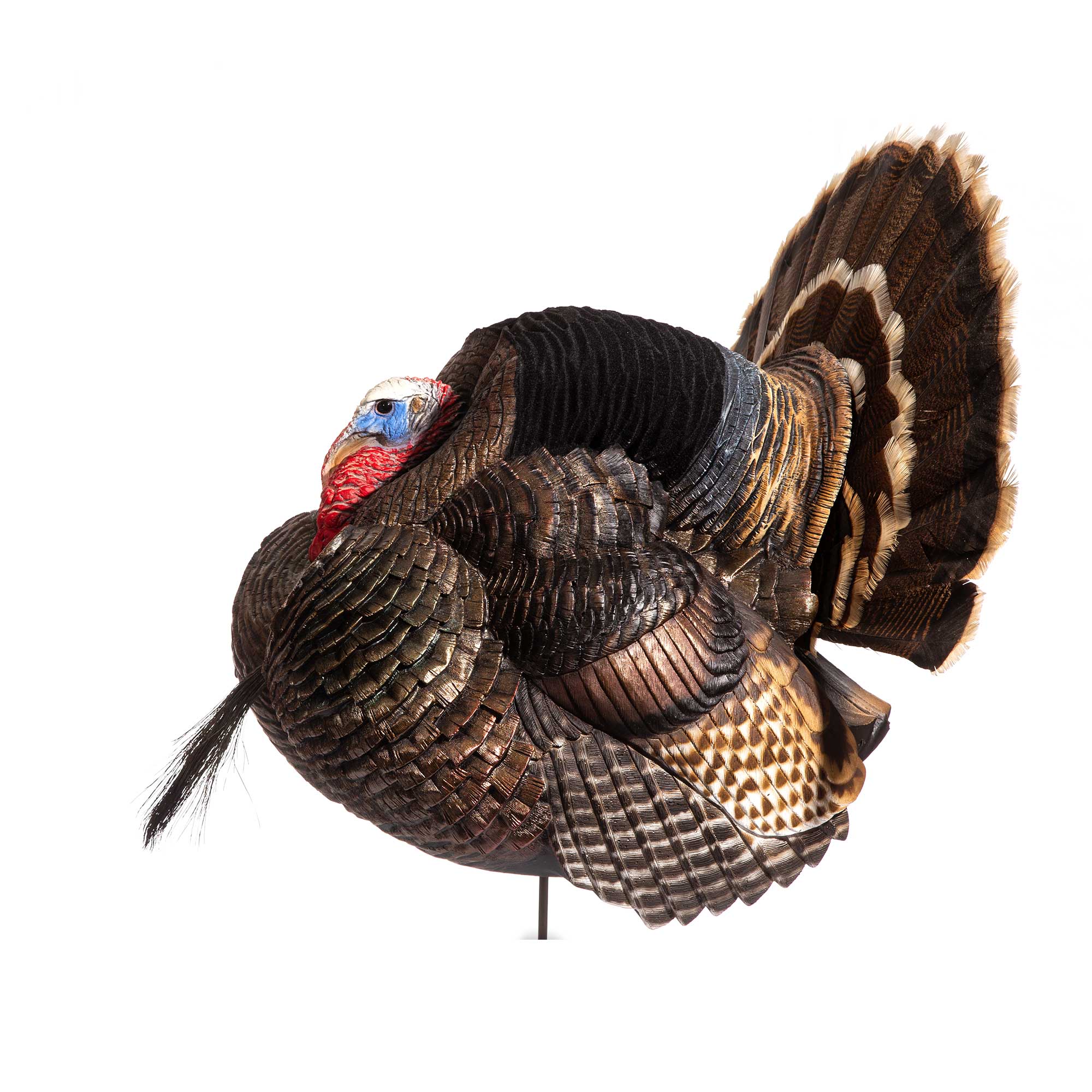 https://www.davesmithdecoys.com/wp-content/uploads/2021/03/dsd-website-360-turkey-strutter-5.jpg