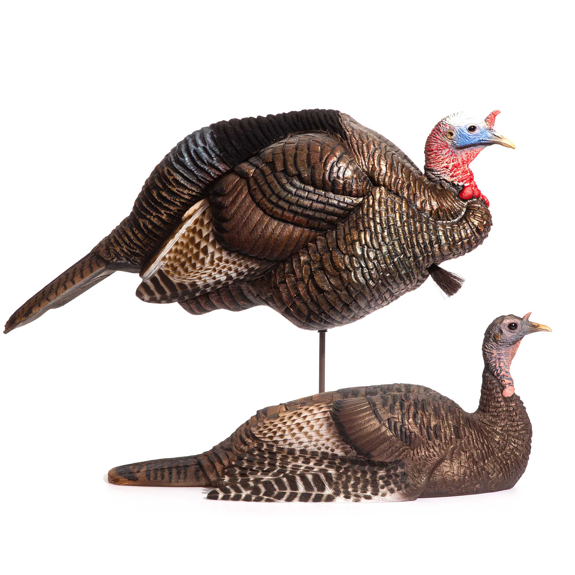 The Hunter Call Of The Wild Turkey Decoys at Graciela Newsome blog