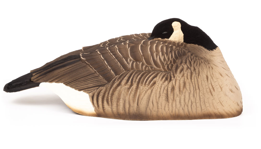 Goose sleeper shells online